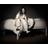 Billie Eilish - When We All Fall Asleep [LP] (Vinyl)