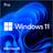 Microsoft Windows 11 Pro 64bit