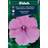 Weibulls Malva Silver Cup Blomsterfrø