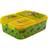 Stor Dinosaur Multi Compartment Sandwich Box