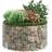 vidaXL Circular Gabion Raised Bed 152017
