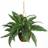 Nearly Natural Boston Fern Silk Hanging Basket Artificial Plant