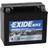Exide AGM12-10