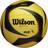 Wilson AVP ARX Game