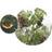 Green>it fuglenet 25×25 6×6 meter