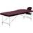 vidaXL foldbart massagebord 3 zoner aluminium lilla