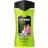 Lynx Epic Fresh Grapefruit & Tropical Pineapple Scent Shower Gel 225ml