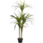 Beliani Dracaena Anita Konstgjord växt
