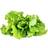 Click and Grow Smart Garden Refill 3-pack Grøntsagsfrø