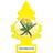 Little Trees 1 Little Trees Magic Tree Car Van Truck Air Freshener