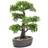 Emerald Mini Bonsai Ficus in Brown Pot Konstgjord växt