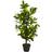 Nearly Natural Lemon Tree with Black Pot Artificial Plant