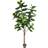 Vickerman Fig Figurine 213.4cm