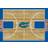 Imperial Florida Gators Courtside Rug