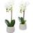 Nearly Natural Phalaenopsis Orchid Artificial Arrangement 2