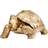 Kare Design Turtle Figurine 32cm