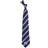 Eagles Wings Woven Poly 1 Tie - North Carolina Tar