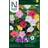 Nelson Garden Underblomma mix