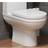 Ceramica Bathroom Seat