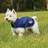 Weatherbeeta Comfitec Premier Free Parka Dog Coat Medium