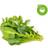 Click and Grow Smart Garden Refill 9-pack Grøntsagsfrø