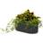 Korbo Blomlåda 49x20 Cm Syrafast