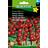 Hornum Tomat, Cherry-, Sweet Million F1 D Grøntsagsfrø