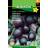 Hornum Aubergine frø, Kaberi TSX 250 Græsfrø