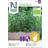 Nelson Garden Timian Have Tysk Vinter Organic 1500 stk Krydderurtefrø