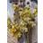 Venture Home Bouquet Plakat 70x100cm