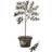 Venture Home Plakat Olive Plakat