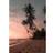 Venture Home Poster - Summer - 21x30 Poster