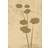 Venture Home Flower Art Poster 50x70cm