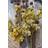 Venture Home Plakat Bouquet Plakat 50x70cm