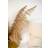 Venture Home Poster Bohemian Plakat