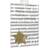 The Home Fusion Company Silver & Gold Star & Stripes Birthday Gift Wrap Wrapping Paper x 2 with Tags