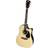 RockOn Clippex Acoustic guitar western model