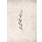 Venture Home Poster Autumn leaf 21x30 Beige Poster