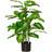 Homcom Evergreen Artificial Plant