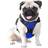 No Pull Reflective Dog Harness M