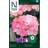 Nelson Garden Inspire Pink F1