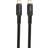Champion Electronics 100W USB C-USB C 3.2 (Gen.1) 1m