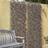 Smart Garden Vivid Violet Trellis
