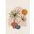 Venture Home Poster Wonderland 21x30 Poster