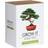 Gift Republic Grow It Bonsai Trees Plantesæt
