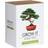 Gift Republic Grow It Bonsai Trees