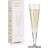 Ritzenhoff Goldnacht Champagneglas 20.5cl