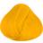 La Riche Directions Sunflower Crazy Color 88ml 88ml