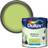 Dulux Standard Kiwi Crush Matt Emulsion Ceiling Paint, Wall Paint Black, Blue