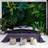 Artgeist Fototapet Dark Jungle, jungleplanter (flere størrelser) 350x245